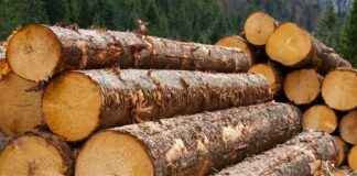 broker-revenue-forecasts-for-jaya-tiasa-holdings-berhad-klsejtiasa-are-surging-higher