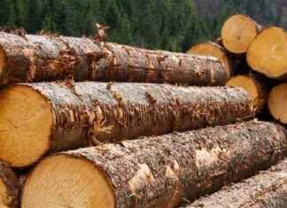 Broker Revenue Forecasts For Jaya Tiasa Holdings Berhad (KLSE:JTIASA) Are Surging Higher broker-revenue-forecasts-for-jaya-tiasa-holdings-berhad-klsejtiasa-are-surging-higher