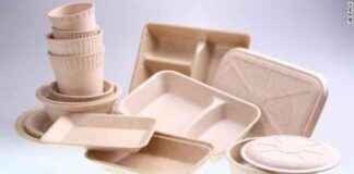 news-26062024-225851