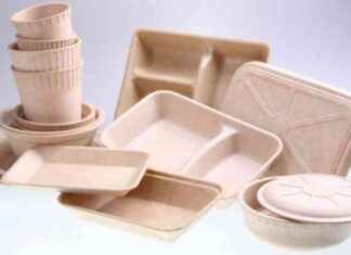 Eco-Friendly Food Packaging: Bamboo-Based Solution for Waste Reduction news-26062024-225851