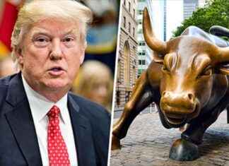 Dispelling the Myth: Trump’s Impact on the Bull Market news-05072024-095043