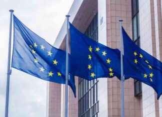 ECB Spotlight: Market Shifts Due to Fed Rate Speculations news-12072024-202023