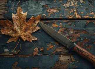 Canadian CPI Release Suggests Bank of Canada Rate Cut – CIBC Analysis news-16072024-072714