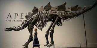 news-18072024-081515