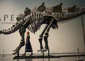 Ken Griffin’s Citadel Purchases Stegosaurus for $45 Million news-18072024-081515