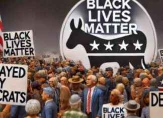 Democrats Criticized by Black Lives Matter for ‘Anointing’ Harris Without Vote news-24072024-194113