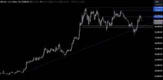 news-25072024-005216