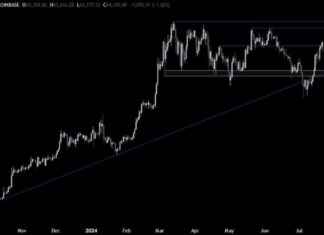 Bitcoin Price Analysis: Key Support Levels Analyzed | Forexlive news-25072024-005216