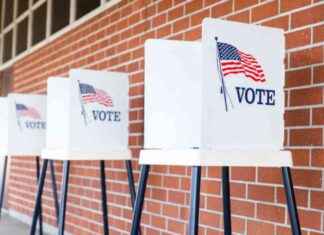 US Election Market Outlook: Key Points to Consider – Action Forex news-25072024-155741