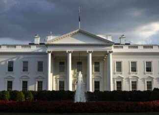 Preparing Your Portfolio for the November Elections: Tips from Ron Insana news-27072024-070217