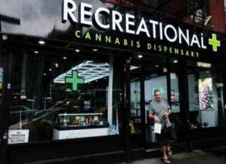 NYC Cracks Down on Illegal Marijuana Dispensaries, Closes Hundreds news-02082024-050512