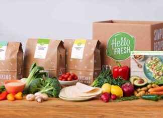 HelloFresh Stock Surges: Beats Profit Estimates, Shares Rise 11% news-13082024-134532