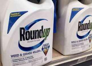 Bayer Stock Surges 12% Following Legal Victory Over Roundup Cancer Lawsuits news-16082024-142009