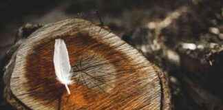 news-16082024-142038