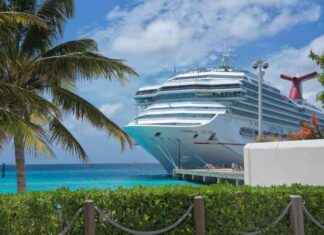 Carnival Corporation: NYSE:CCL Stock Performance and Appeal Analysis news-16082024-202234