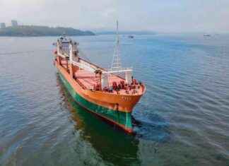 Safe Bulkers Stock Forecast: Is the Pullback Over? (NYSE:SB) news-17082024-142629