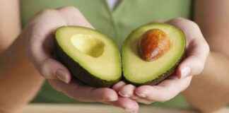 news-18082024-124859