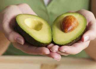 Mexican Avocado Dominance: The Key Reasons for 90% of U.S. Supply news-18082024-124859