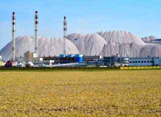 Investing in Brazil Potash IPO (Pending: GRO): High Risk Analysis news-22082024-191535