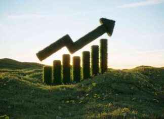 Brookfield Infrastructure: Top Choice for Dividend Investors (NYSE:BIP) news-26082024-230644