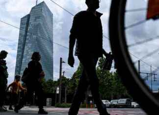 Europe Stocks Surge to New Highs Before Euro Zone Inflation Data Release news-30082024-112320