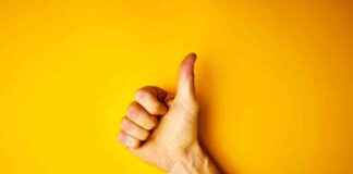 news-15092024-105700