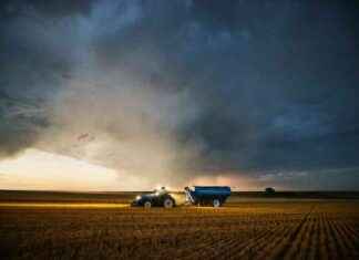 Investing in Nutrien: Long-Term Opportunities Amid Short-Term Focus news-15092024-145748