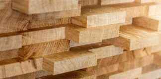 news-22092024-084941