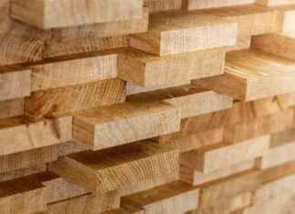 Mercer (NASDAQ: MERC): Strong Buy Signal from Insider Buying and Price Action news-22092024-084941