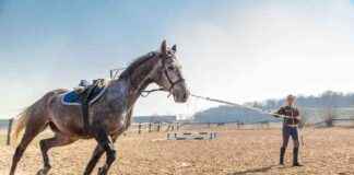 news-23092024-050116