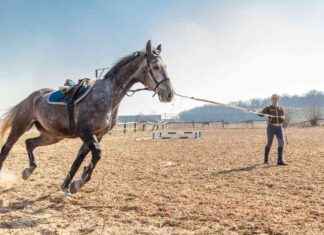 Fed’s Plan to Reduce Interest Rates by 0.50% Sparks Market Optimism news-23092024-050116