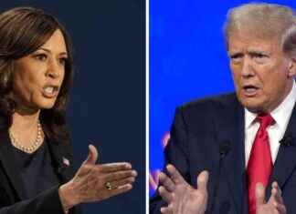 Strategic Portfolio Positioning for 2024 Presidential Election: Investor Tips news-05102024-212826