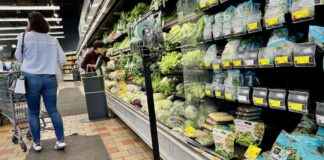 news-11102024-185125