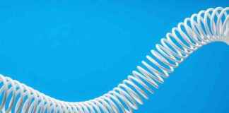 news-21102024-151539