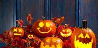 news-23102024-152708