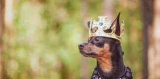 news-26102024-095743