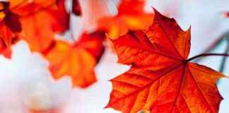 news-26102024-155937