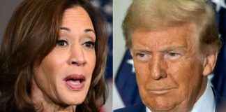 news-28102024-162312