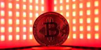 news-29102024-103302