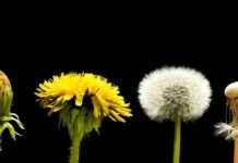 Realty Income Q3 Earnings Analysis: Key Points to Watch (NYSE:O) news-30102024-103951