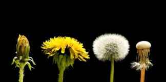 news-30102024-103951