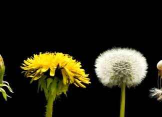 Realty Income Q3 Earnings Analysis: Key Points to Watch (NYSE:O) news-30102024-103951