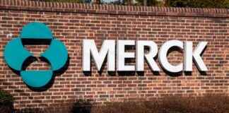 news-31102024-135006