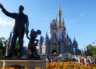 Disney’s Strong Earnings Fueled by Streaming Services news-14112024-161054