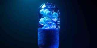 news-29112024-000943