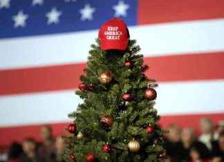 Holiday Spending Outlook: Trump Voters Boost, Harris Supporters Hold Back news-30112024-001602