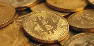 best-nvestment-of-2024-understanding-bitcoins-volatility