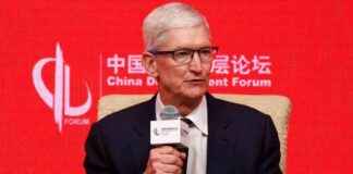 apple-ceo-cook-advocates-for-fiscal-stimulus-amid-steepest-china-sales-decline-analysis-nsights