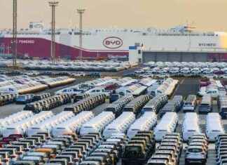 China’s Electric Vehicle Growth Expected to Slow in 2025 chinas-electric-vehicle-growth-expected-to-slow-in-2025