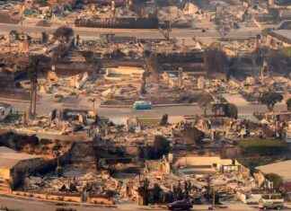 Stock Market Reacts to Growing Losses from LA Wildfires stock-market-reacts-to-growing-losses-from-la-wildfires